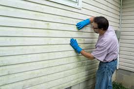 Professional Siding in Princeton, NC